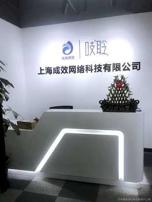 成效网络